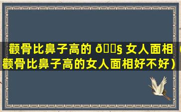 颧骨比鼻子高的 🐧 女人面相（颧骨比鼻子高的女人面相好不好）